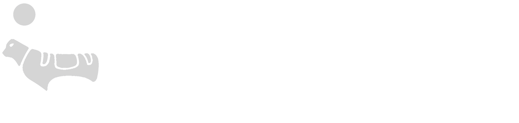 novo-nordisk-logo-white-1